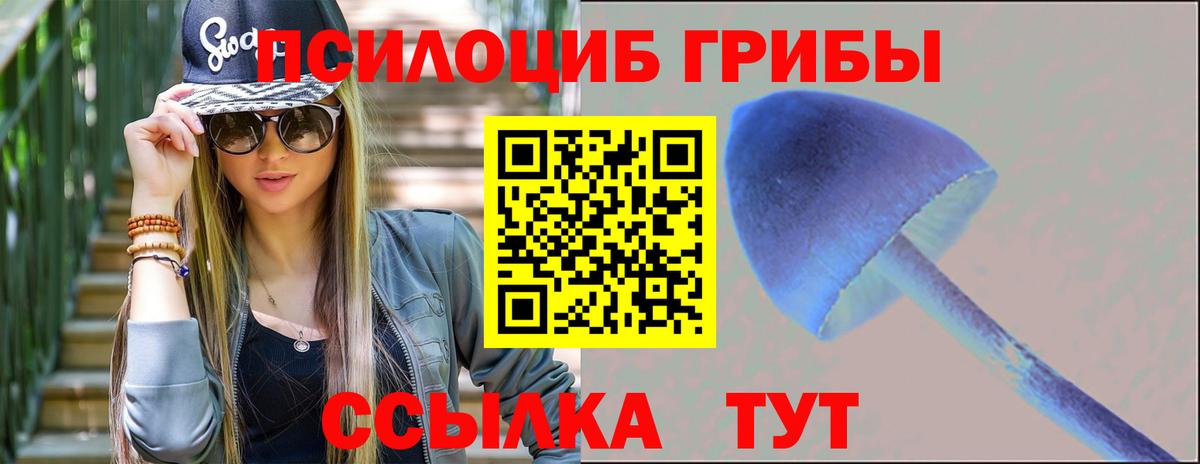 купить наркотик  Псилоцибиновые грибы Psilocybe  Вход с VPN  Псилоцибиновые грибы MAGIC MUSHROOMS  Ессентуки 