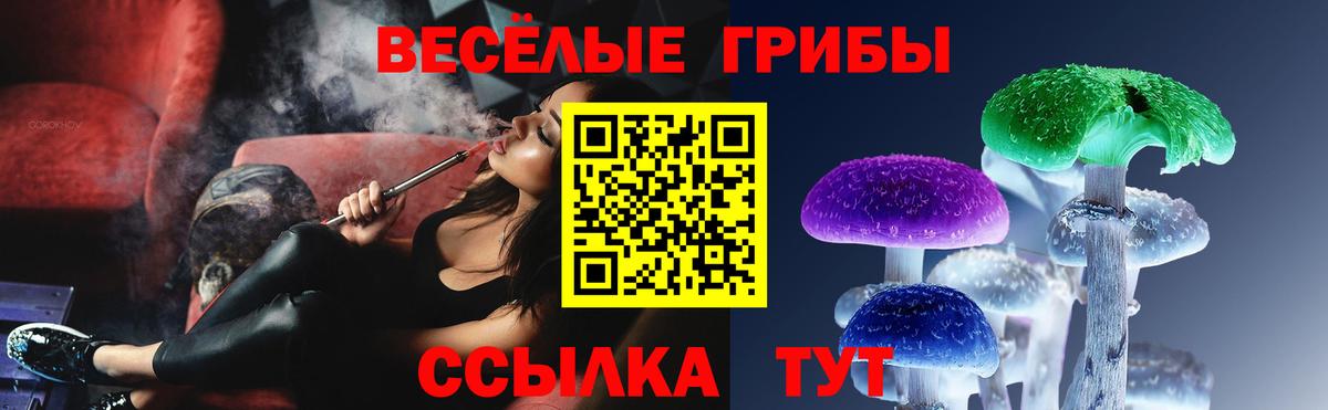 Псилоцибиновые грибы прущие грибы Ессентуки